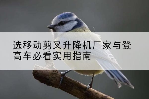 娄星电动升降机厂家-选移动剪叉升降机厂家与登高车必看实用指南