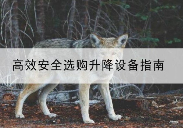 娄星升降货梯厂家推荐-*安全选购升降设备指南