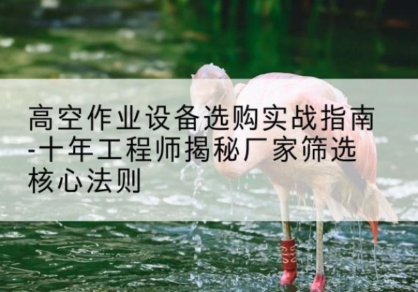 娄星剪叉式升降机厂家-高空作业设备选购实战指南-十年工程师揭秘厂家筛选核心法则